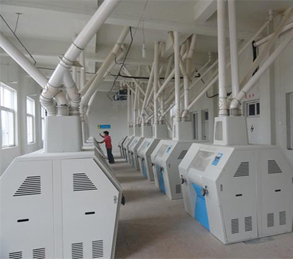 20tpd Wheat Flour Mill Machine Plant Kaifeng Aohua Machinery Co Ltd